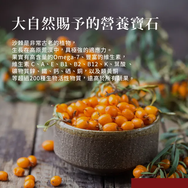 【Sanct Bernhard 聖伯納德】德國百年草本 Omega-7 沙棘油膠囊X2入 (100顆/罐 減少自由基產生)