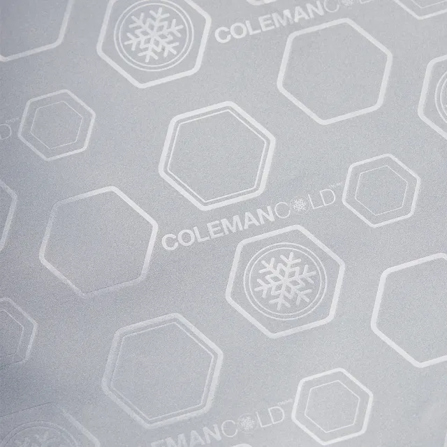 【Coleman】15L保冷手提袋(保冷袋 保冰袋 野餐袋 便當袋 購物袋)