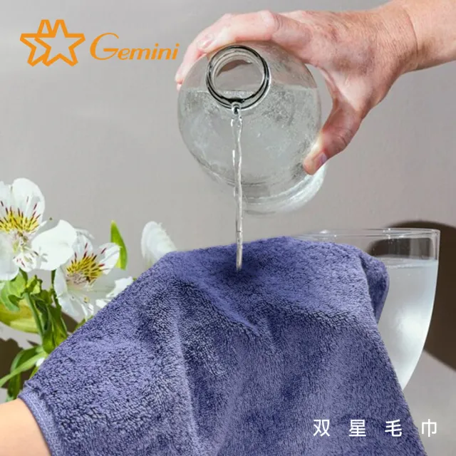 【Gemini 雙星】官方直營 飯店級經典厚韻系列毛巾(超值2入組)