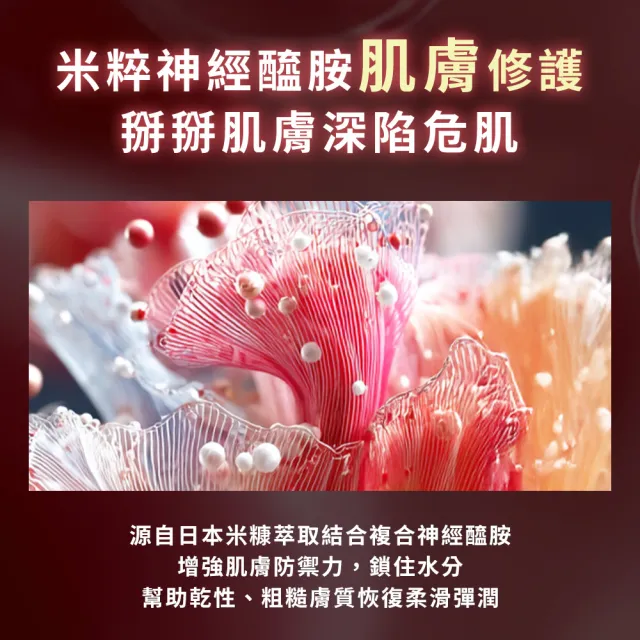 【DR.CINK 達特聖克】米粹安瓶 神經醯胺安瓶 15ml (2%神經醯胺 急救保濕安瓶)