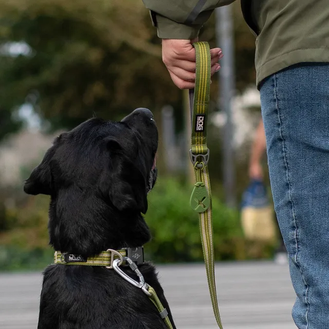 【DOG Copenhagen】丹麥犬Urban Freestyle 輕便風寵物牽繩(多色可選)
