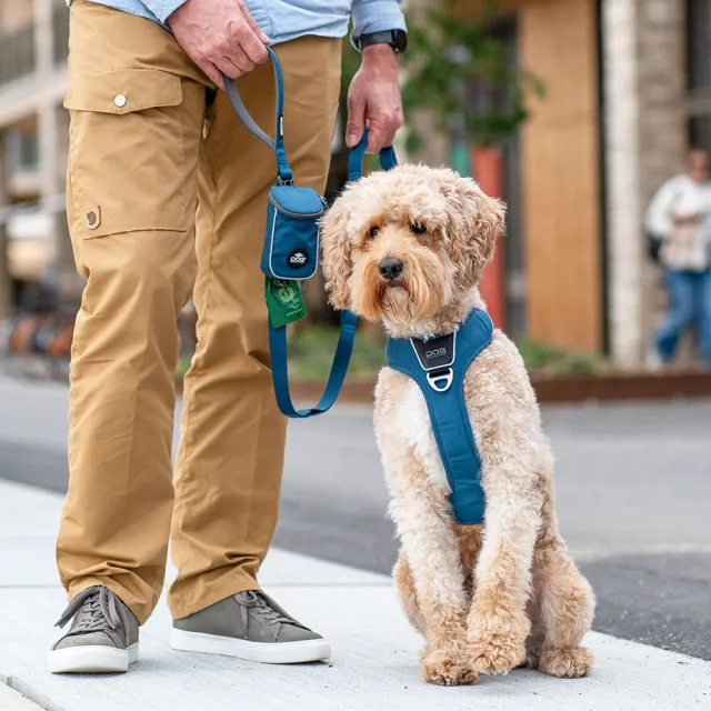 【DOG Copenhagen】丹麥犬Urban Trail 隨行包牽繩(四段式牽繩 多功能收納包)