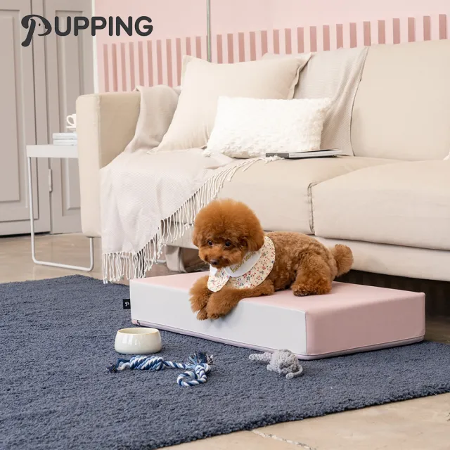 【PUPPING】韓國寵物防滑平台(3色可選)