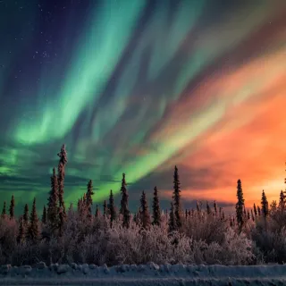 【喜鴻假期】★舞動加拿大育空白馬極光８日★三晚追光、極光營地、野生動物園、極地溫泉、酒莊品酒