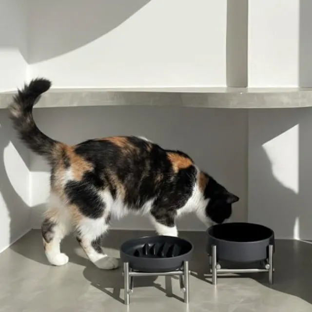 【MATTTE】黑陶瓷寵物水碗 750ml - M號 (寵物碗/貓碗/狗碗/飼料碗)