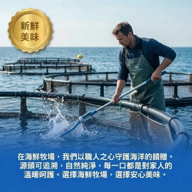 新鮮牧場 金賞竹筴魚一夜干*5包組 (2隻裝/330g±10%/包) 鮮美 入味 香甜 紮實 嚴選