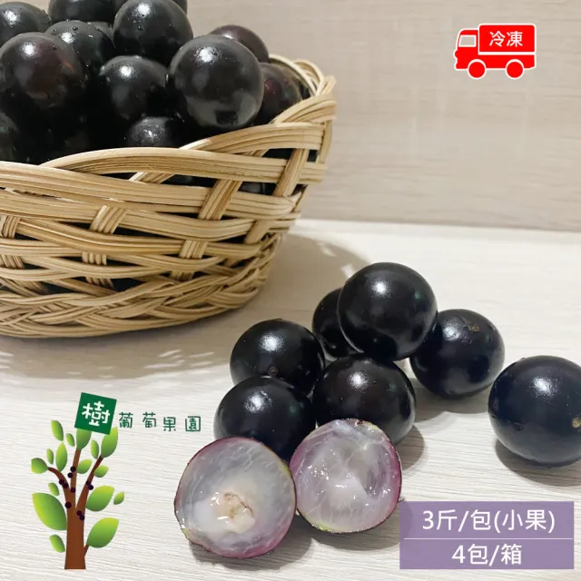 樹葡萄果園 冷凍鮮採樹葡萄12斤x1箱(3斤/包_小果_冷凍宅配_產地直送)