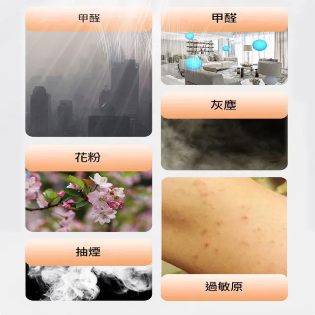 【IPSKY】空氣清淨機 空氣淨化器（強力吸浮毛 除甲醛除異味 PM2.5淨化 雙面淨風設計 空氣除臭機）