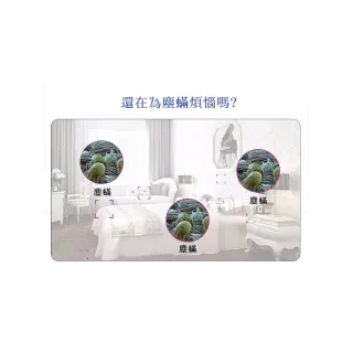 【ROYAL LIFE 皇室生活】強效吸塵蟎吸跳蚤貼-每袋3包 2入組(消除塵蟎/塵蟎片/除蟎片/誘補貼/除蟎貼片)
