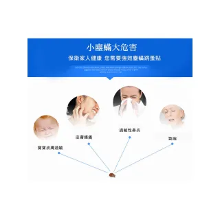 【ROYAL LIFE 皇室生活】強效吸塵蟎吸跳蚤貼-每袋3包 2入組(消除塵蟎/塵蟎片/除蟎片/誘補貼/除蟎貼片)