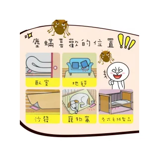 【ROYAL LIFE 皇室生活】強效吸塵蟎吸跳蚤貼-每袋3包 2入組(消除塵蟎/塵蟎片/除蟎片/誘補貼/除蟎貼片)