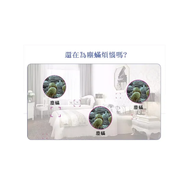 【ROYAL LIFE 皇室生活】強效吸塵蟎吸跳蚤貼-每袋3包 4入組(消除塵蟎/塵蟎片/除蟎片/誘補貼/除蟎貼片)