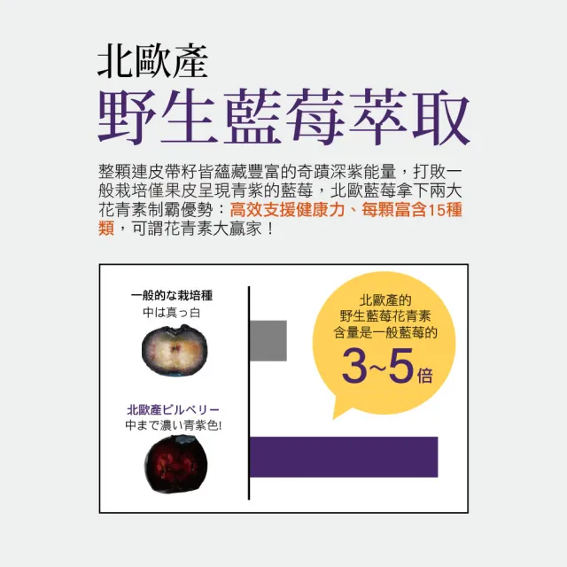【IKOR】識明潤北歐藍莓膠囊(60粒/盒 日本ITOH識界覺醒升級版 游離型葉黃素 花青素)