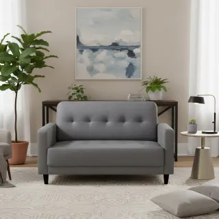【ASSARI】艾莉雅輕奢現代貓抓皮雙人座沙發(120cm)