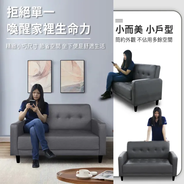 【ASSARI】艾莉雅輕奢現代貓抓皮雙人座沙發(120cm)