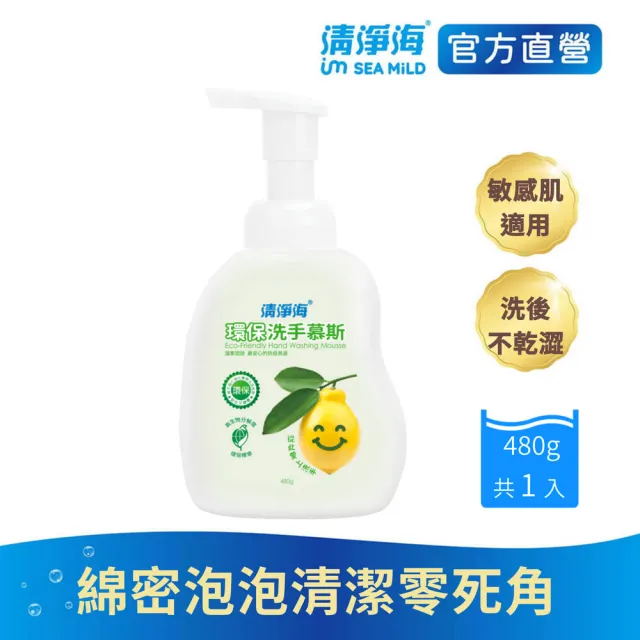 超市【清淨海 官方直營】環保洗手慕斯480g(溫和清潔/手部潔淨/無添加酒精/無皂鹼/蓬鬆泡沫/嬰童用)