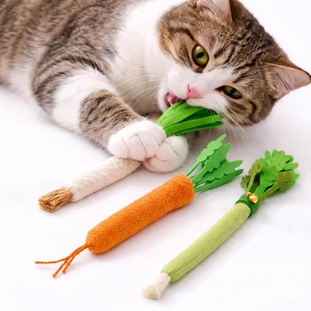 【Pet’s Need 霈尼】來呷菜木天蓼玩具-M號-芹菜/青蔥/紅蘿蔔(潔牙玩具 貓草 木天蓼棒 寵物玩具)