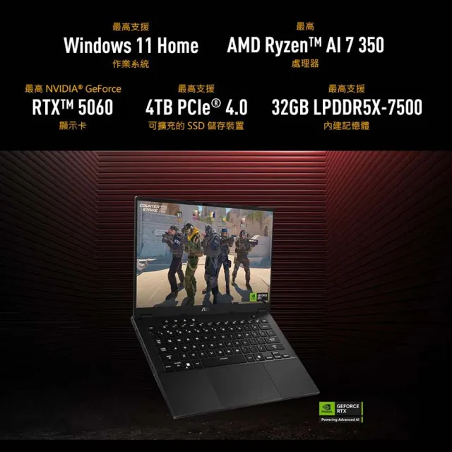 【ASUS 華碩】14吋GeForce RTX 5060 Ryzen AI 9 電競筆電(FA401GM-0021A465H/465/16G*2/1TB/W11/御鐵灰)