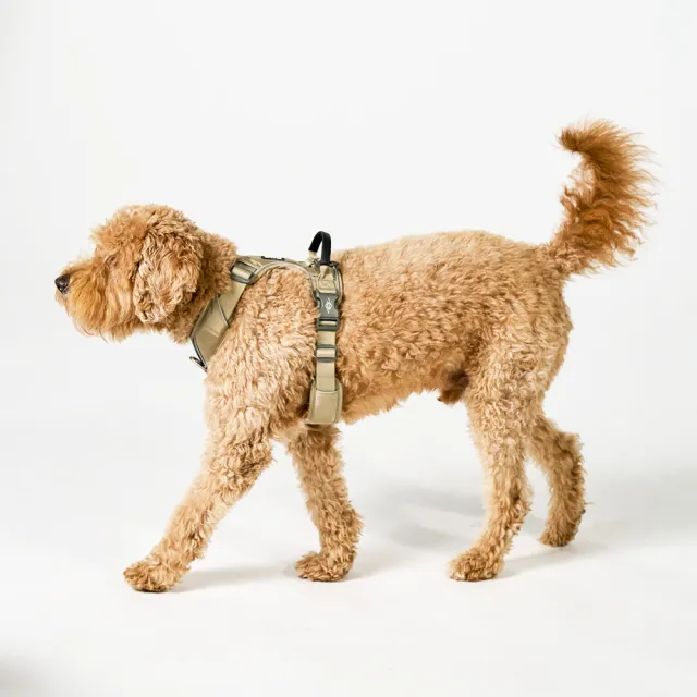 【DOG Copenhagen】丹麥犬胸背帶Pro款-L(狗狗專用 頂級旗艦 舒適好操控)