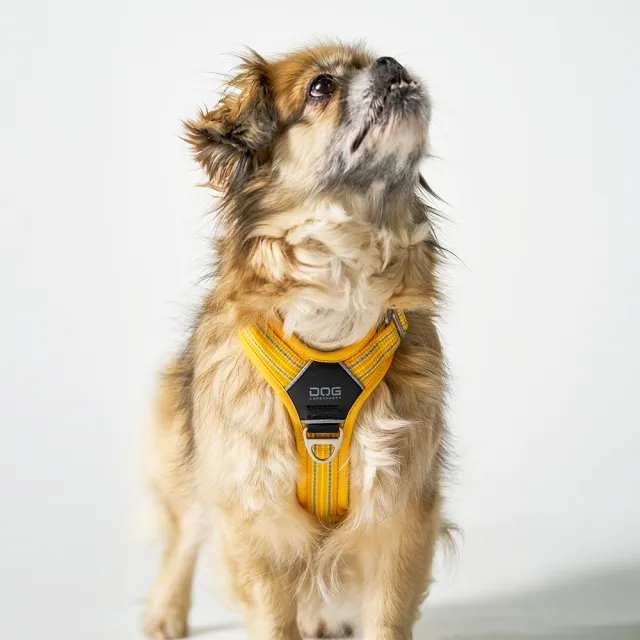 【DOG Copenhagen】丹麥犬胸背帶Air款-XL(狗狗專用 透氣輕盈 不套頭設計)