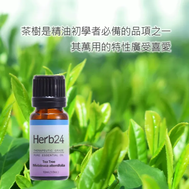 【草本24】Herb24 山石高頻負離子水氧機４件組｜甜橙、苦橙葉、茶樹各10ml (保固一年 香氛機 加濕器)