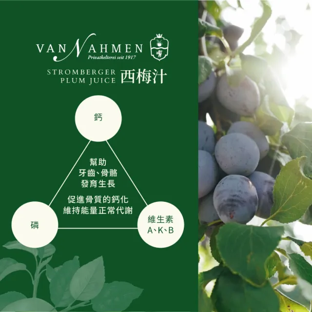 Van Nahmen 西梅汁 750mlx1入 (黑棗汁 德國原裝進口)