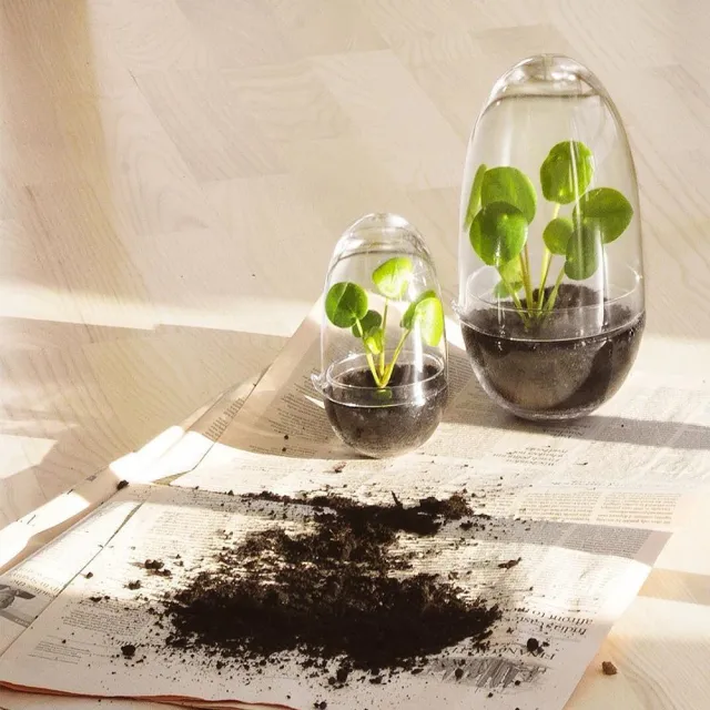 【北歐櫥窗】Design House Stockholm Grow 小草樂（小）