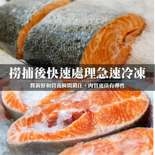 【三頓飯】智利肥嫩厚切3XL鮭魚(8片_420g/片)