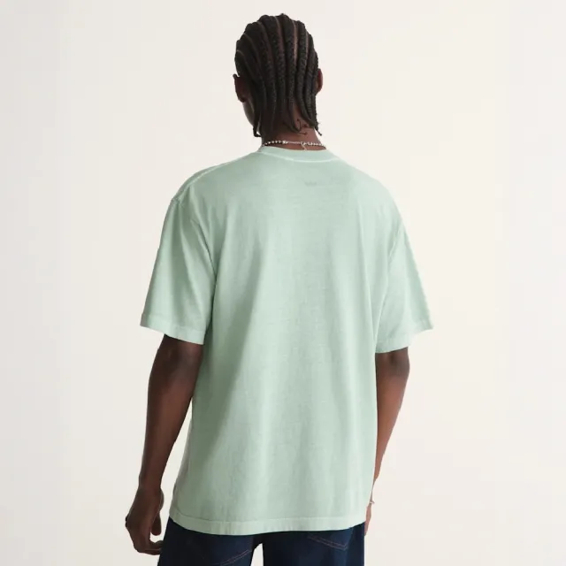 【VANS】官方旗艦 Premium LX Loose Fit 淡綠色短袖T恤