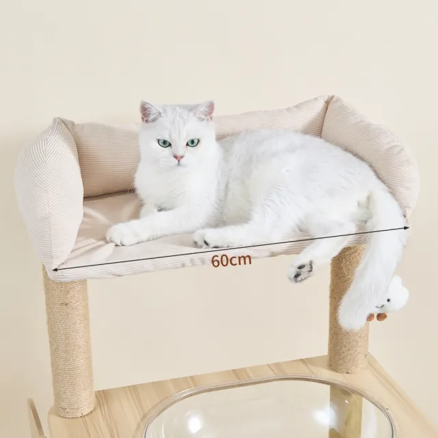 【AOYI】奧藝加大太空艙貓跳台 多層胖貓專用貓爬架(頂部60cm大平台｜穩固耐抓多功能貓樹｜舒適貓窩貓睡床)