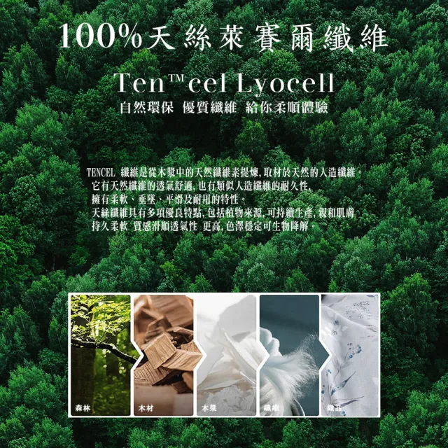 【Sleep Peacefully 寢室安居】台灣製 100%頂級純60支300織天絲雙人被套(多款任選 180*210CM)