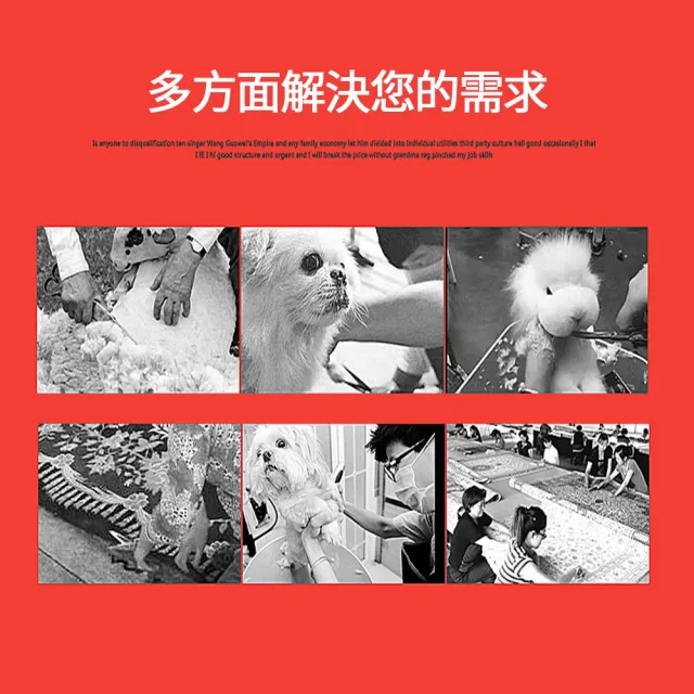 寵物電推剪 剪毛器 修毛刀 修毛器 寵物剪毛器 貓咪剪毛器 羊毛剪 剃毛器 羊毛推子 剃毛機