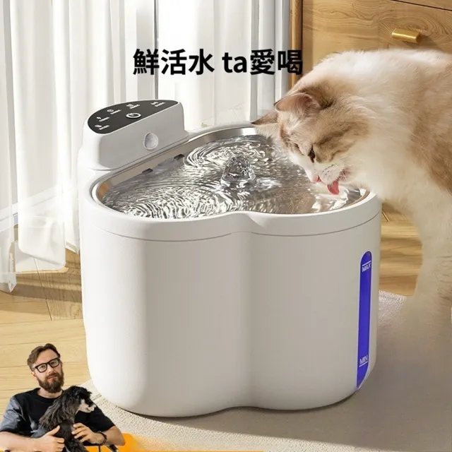 | BALIMAN情報局 【2026】貓咪飲水機推薦ptt》10款高評價人氣品牌排行榜 | BALIMAN情報局