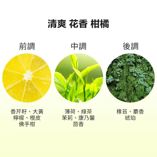 【伊麗莎白雅頓】官方直營 雅頓經典綠茶香水洗護三入組  (沐浴膠500ml*2+身體乳500ml*1)