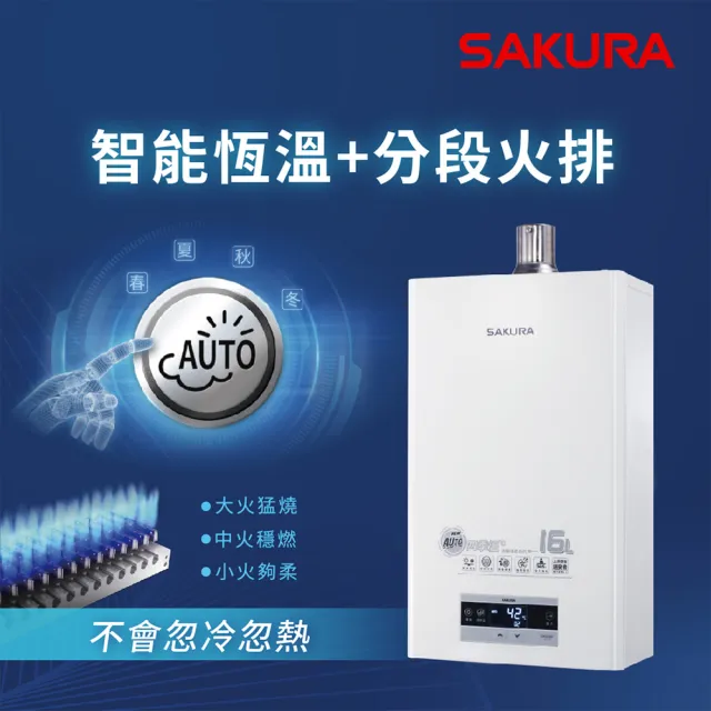 【SAKURA 櫻花】16L渦輪增壓智能恆溫熱水器DH1693F(FE式 原廠安裝-官方直營)