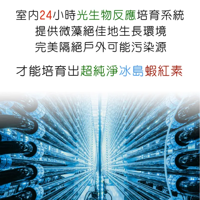 【IVITAL 艾維特】冰島液態蝦紅素12毫克+微藻DHA/EPA膠囊3入組(買2送1 共180粒 蝦紅素 藻油DHA/EPA 全素)