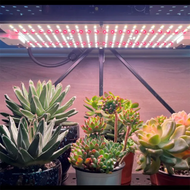 【LADUTA 拉布塔】量子板植物燈 120W 全光譜 三星燈珠 無極調光