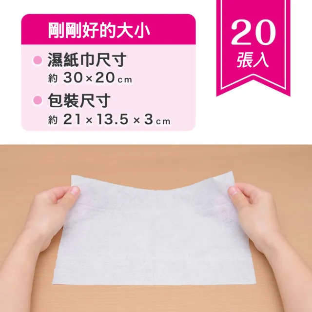 【LEC】激落君電解水微波爐冰箱清潔濕紙巾20抽X16包入