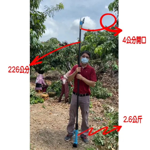 【立豐科技】4公分電動高枝剪｜鋸子電鋸｜龍眼果樹芒果園｜高樹修剪｜不用爬樓梯(型號 25.2V高枝剪)