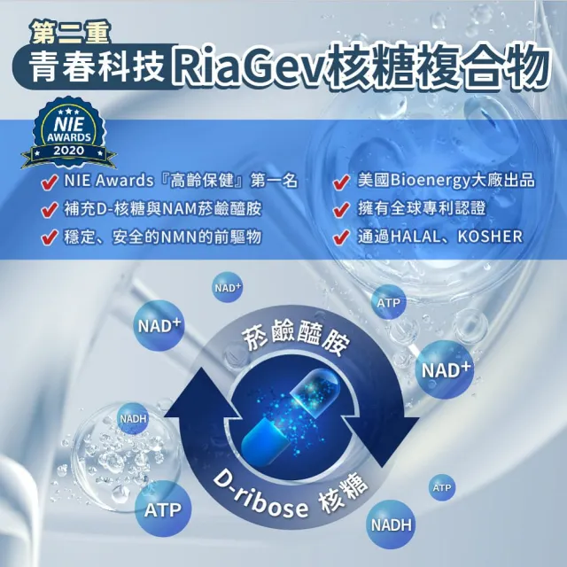 【JoyHui 佳悅】核佳康NMN膠囊4盒(共120粒、酵母NMN+白藜蘆醇+菸鹼醯胺+雙重NAD+元素幫助青春美麗)