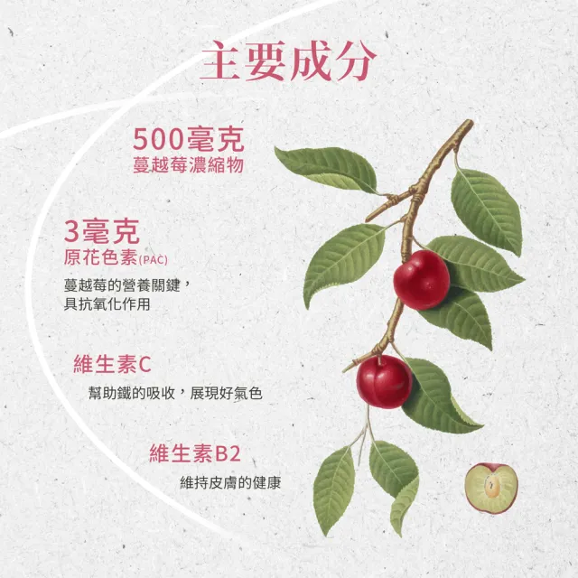 【聖伯納德 Sanct Bernhard】德國百年草本 蔓越莓膠囊 90粒(花青素 維他命C)
