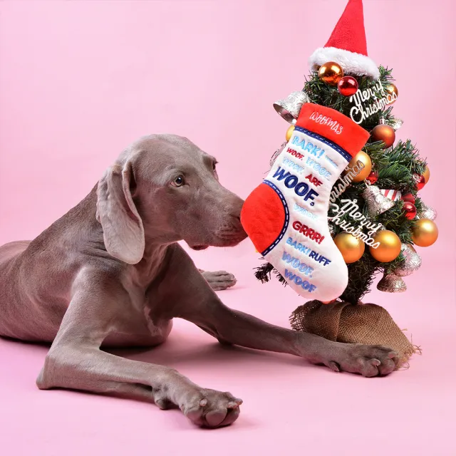 【CHEWFFON】繽紛彩襪 藏食玩具(嗅聞玩具 狗狗玩具 寵物玩具)