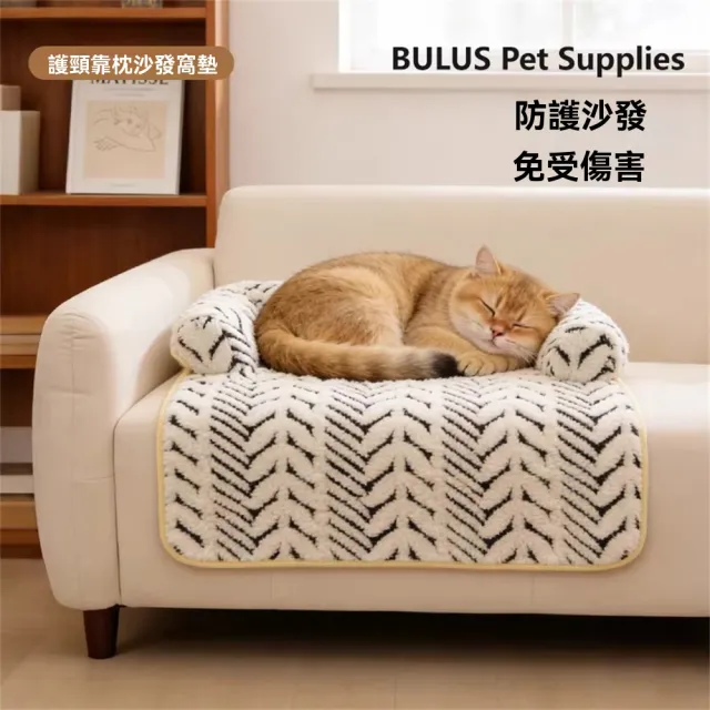 【2026】寵物沙發床推薦ptt》10款高評價人氣品牌排行榜 | BALIMAN情報局
