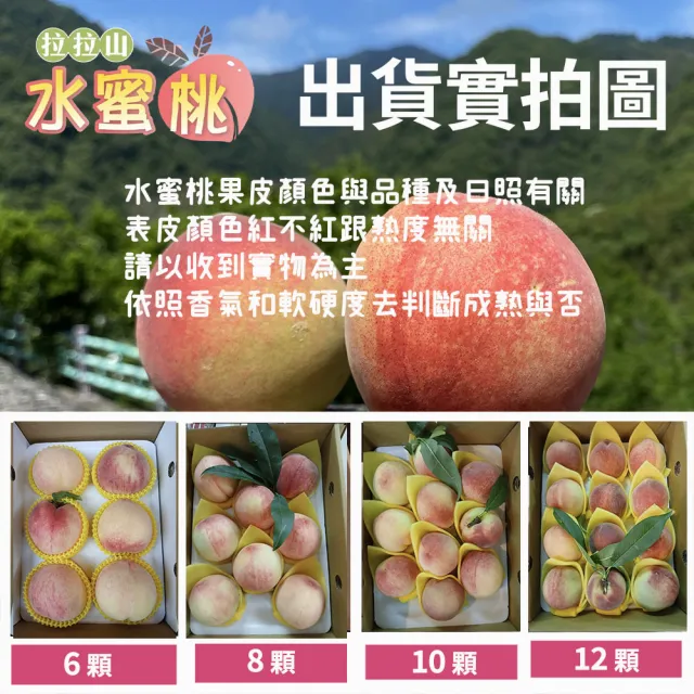 【初品果】7月桃-拉拉山水蜜桃禮盒12顆3斤x1盒(共12顆 食尚玩家推薦_季節限定_送禮禮盒_產地直送)