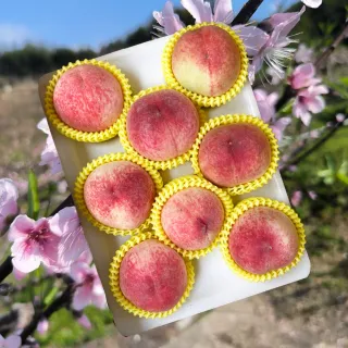 【初品果】拉拉山水蜜桃禮盒8顆x2盒(共16顆_食尚玩家推薦_產地直送_母親節送禮_企業採購)