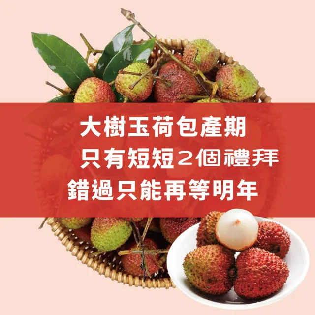 【初品果】高雄大樹玉荷包禮盒3斤x2盒(外銷等級32mm-35mm_顆粒_冷藏_鳳荔文化獎_送禮 母親端午節)