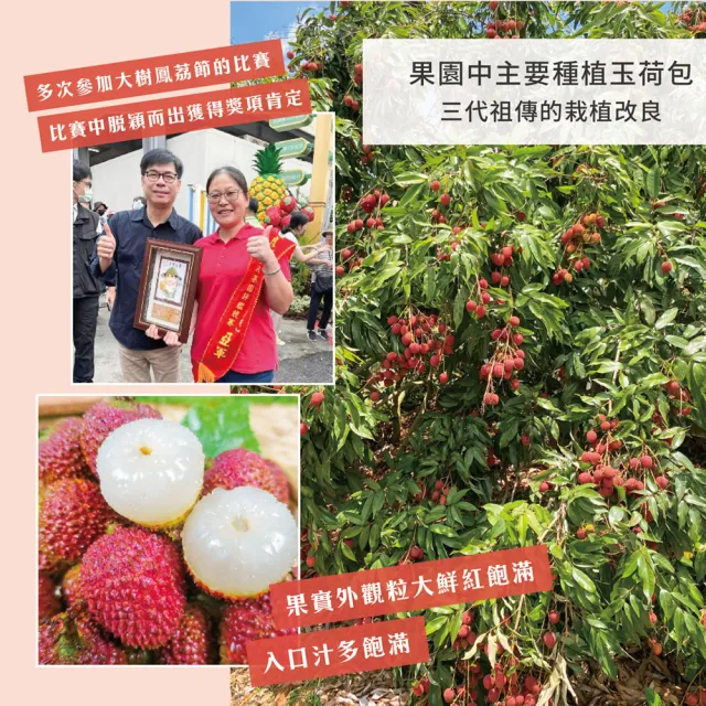 【初品果】高雄大樹玉荷包禮盒中果3斤x4盒(外銷等級32mm-35mm_顆粒_冷藏_鳳荔文化獎_端午禮盒)