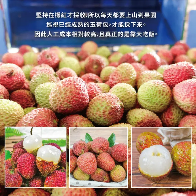 【初品果】高雄大樹玉荷包禮盒 35mm+霸王果3斤x2盒( 顆粒 冷藏 鳳荔文化獎) 三節禮盒 送禮 端午節禮盒