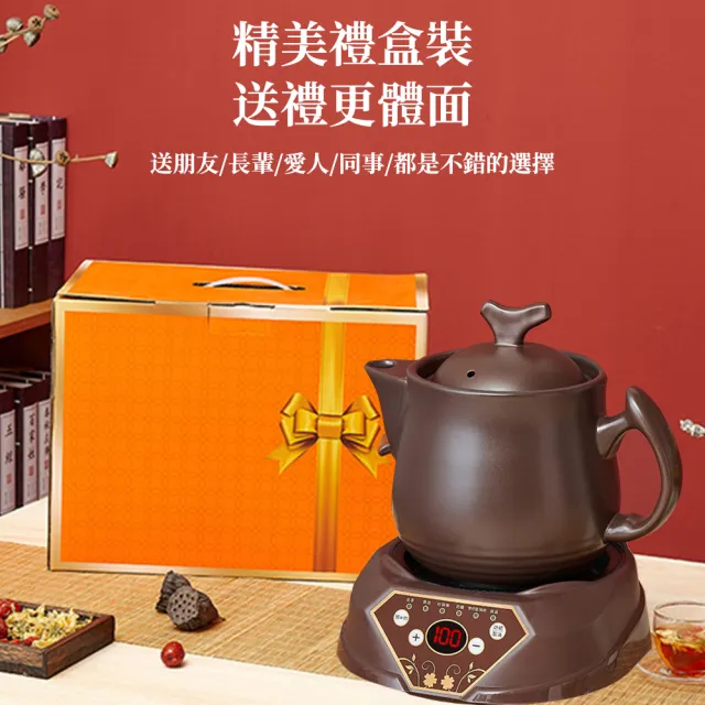 【tounichi 東日】多功能養生煮茶壺套組(養生壺/煮茶壺/電熱壺/花茶壺)
