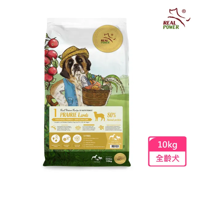 | BALIMAN情報局 【2026】瑞威狗飼料推薦|10款高評價人氣品牌排行榜 | BALIMAN情報局